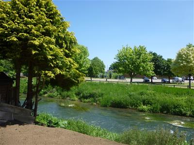Picture 10